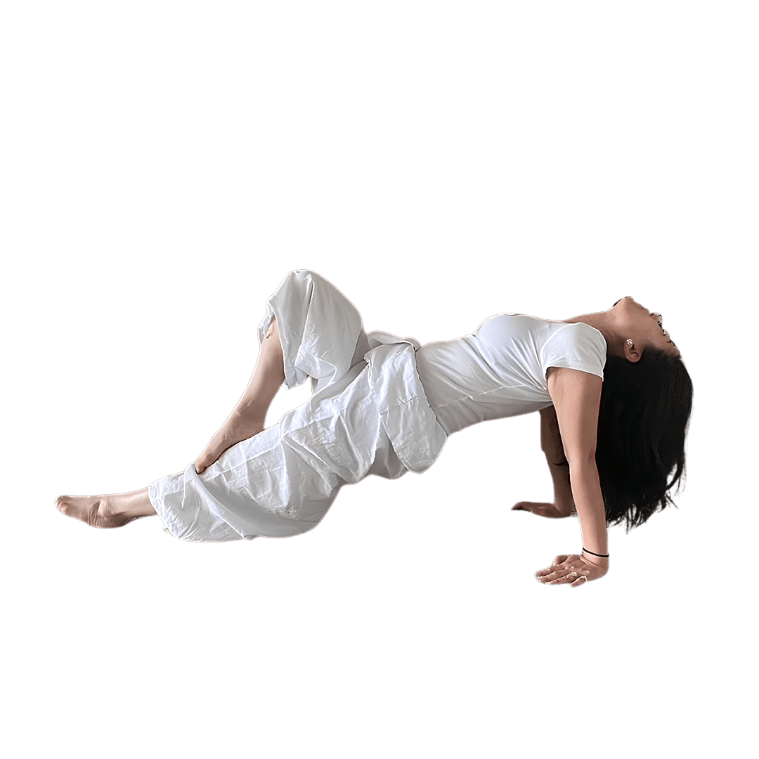 MERIT SOLARAH AUREONG